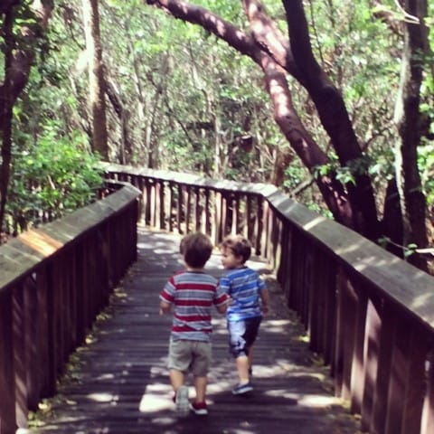 Gumbo Limbo Boca Raton