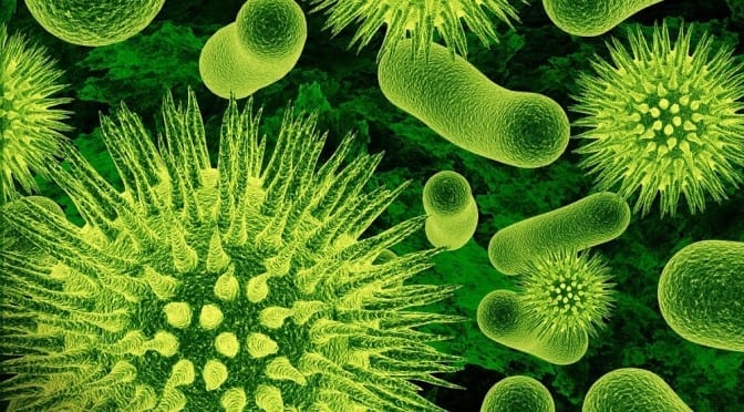 Germs Back to School Modern Boca Mom Featured