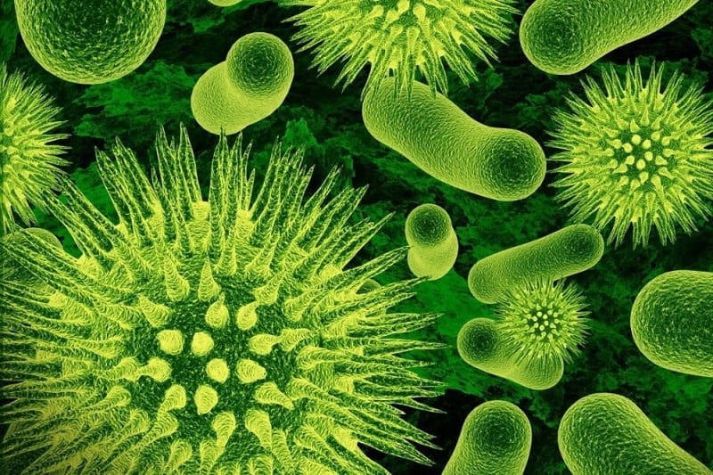 Germs Back to School Modern Boca Mom Featured