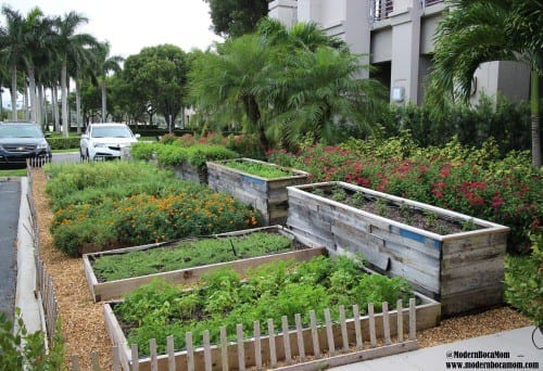 Farmer's Table Boca Raton