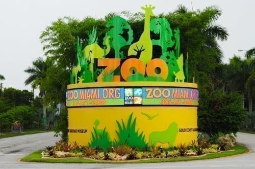 Zoo Miami with kids