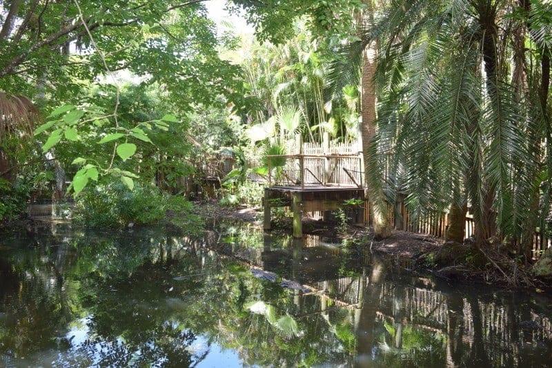 Alligator Alley at PB Zoo