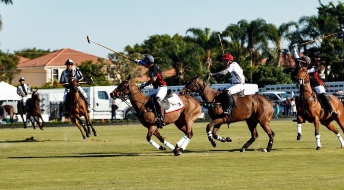 Palm Beach Polo Featured