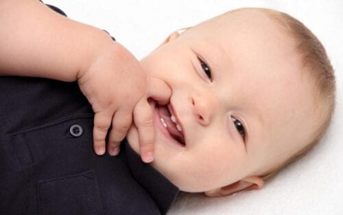 toddler's first dental checkup