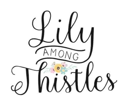 MOMpreneur Monday Lily Among Thistles