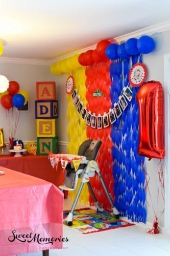 Elmo themed Boca birthday party