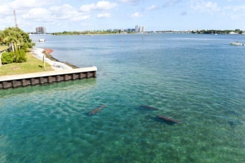 Manatee Lagoon Palm Beach