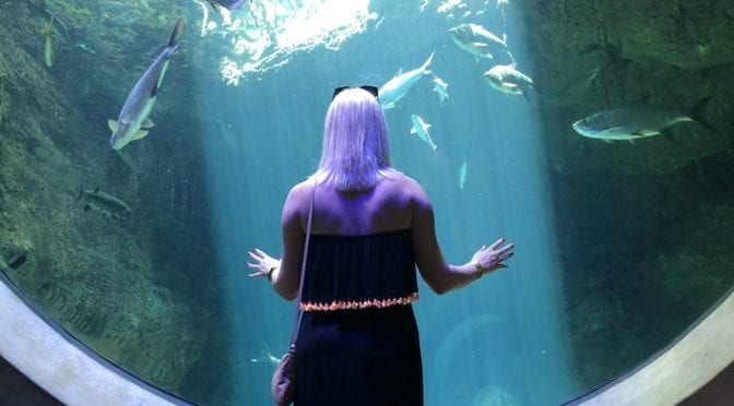 Fancy Family Trip to Miami Featured 2