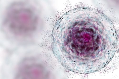stem cells from storing your child's teeth stem cells from storing your child's teeth