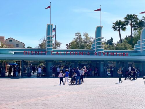 Disneyland versus Disney World: A Florida Family's Perspective