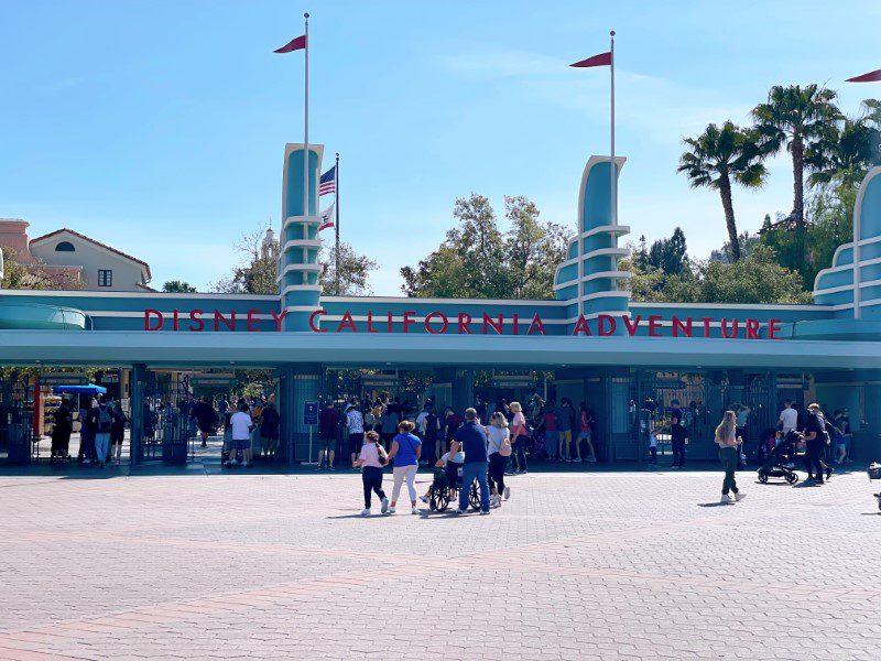 Disneyland Versus Disney World: A Florida Family's Perspective