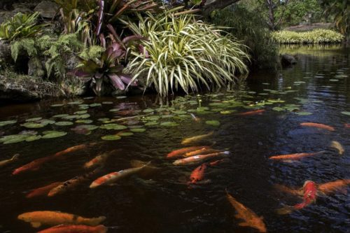 Botanical Gardens in Florida | Mounts Botanical Garden Lake Orth