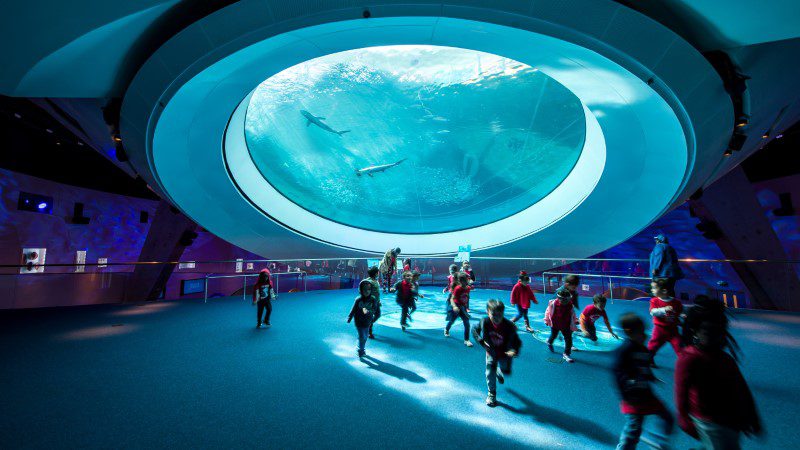 Spring Break activities in Miami can include the amazing Frost Museum of Science
