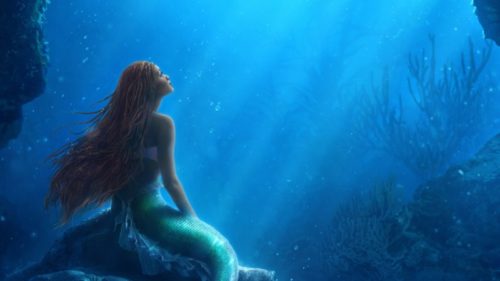 Little Mermaid Classes & Experiences in Florida and Beyond