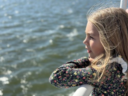 Top 5 Things to Do in Charleston, SC with Kids - Harbor Cruise
