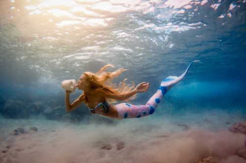 Six Little Mermaid Classes and Experiences in Florida and Beyond