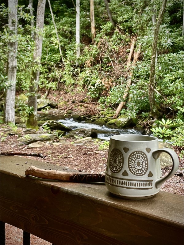 North Carolina Tiny Home Cabin at Indigo Nature Retreat