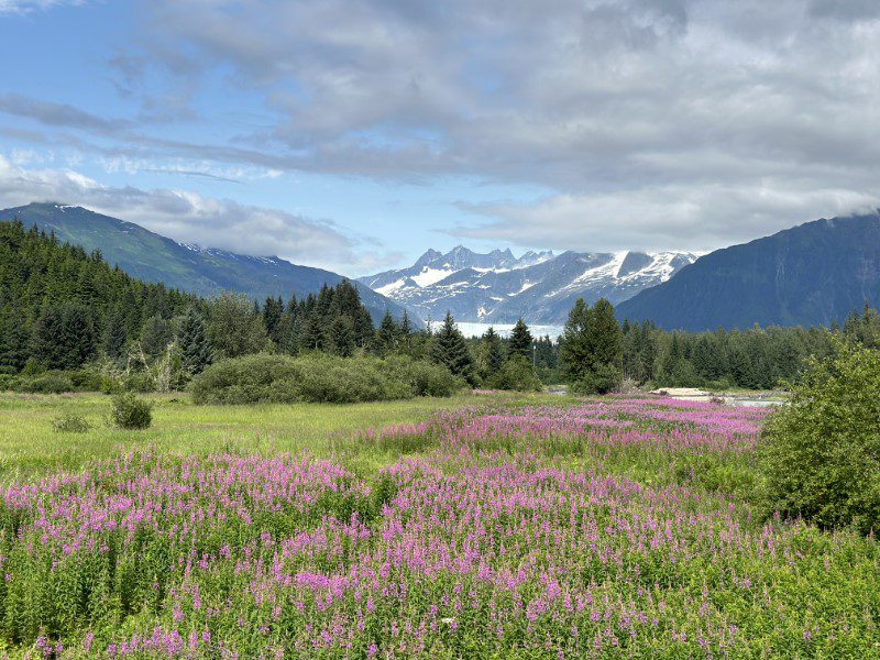 Alaska land and sea cruise trip