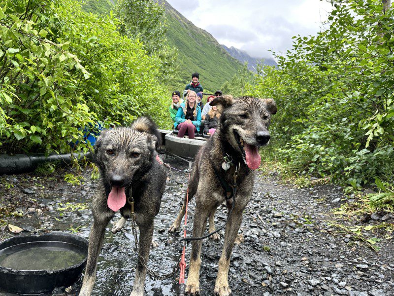 Alaska land and sea cruise trip