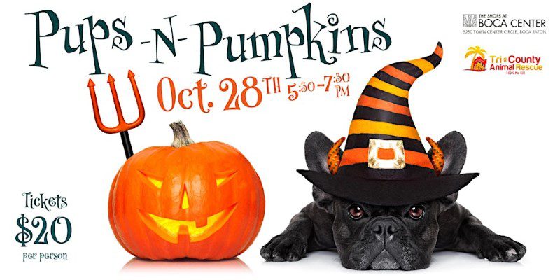 Halloween Events in South Florida Boca Center Pups N Pumpkins