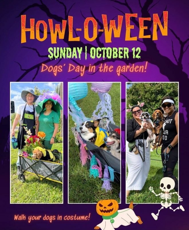 Howl O Ween Dogs Day Postcard 