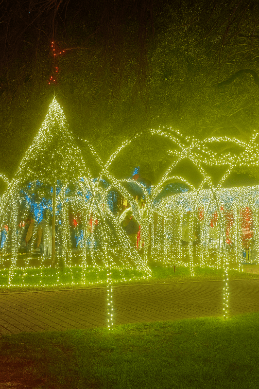 Discover One of the Best Christmas Light Trails in Boca Raton (4) Discover One of the Best Christmas Light Trails in Boca Raton (4)