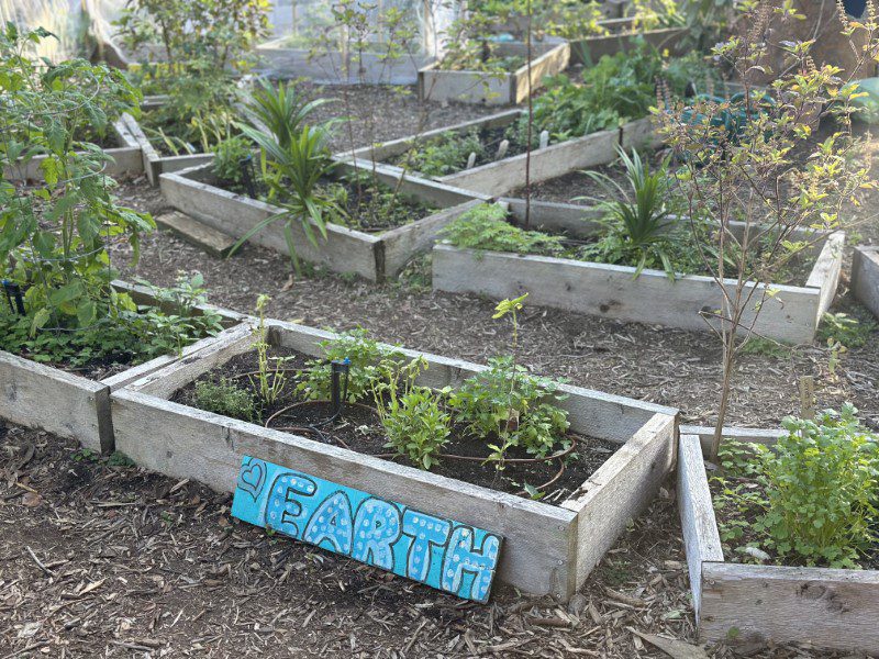 Play Places for Kids in Boca Raton and Beyond Delray Beach Children's Garden Play Places for Kids in Boca Raton and Beyond Delray Beach Children's Garden
