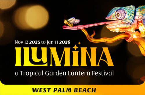 Website Rotatating Banner no CTA mobile