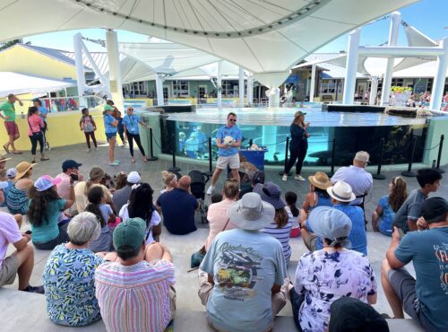 Image 12 2 25 at 10.25 AM