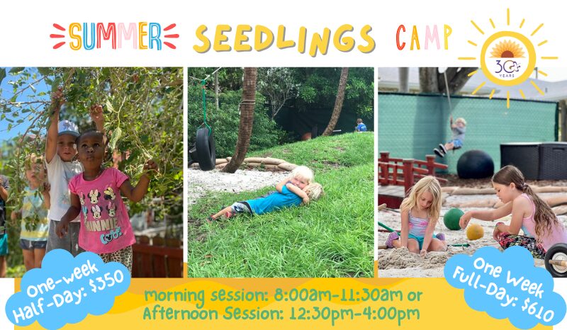 Seedlings Summer Camp at Sunflower Creative Arts Delray Beach