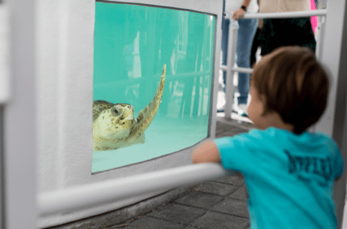 Screenshot 2026 02 17 150406