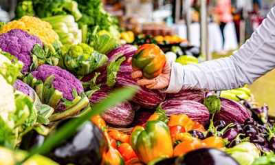 Green Market 3 C9D5FE65 49CA 4433 80A7DA5FAB15F487 15643c08 908c 4d8a a990b38fea69298b