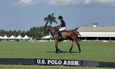 thumbnail IMG 9219 BB637DDF 5056 BF65 D6F0F94FE0582D33 bb6432b6 5056 bf65 d6bb2ccbff87f828