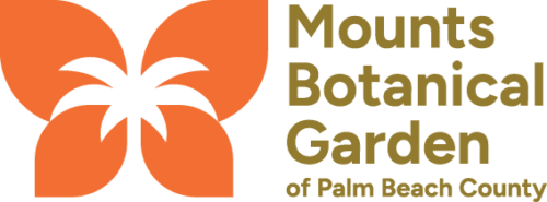 MBT LOGOS RGB MBG LOGO PRIMARY FULL COLOR