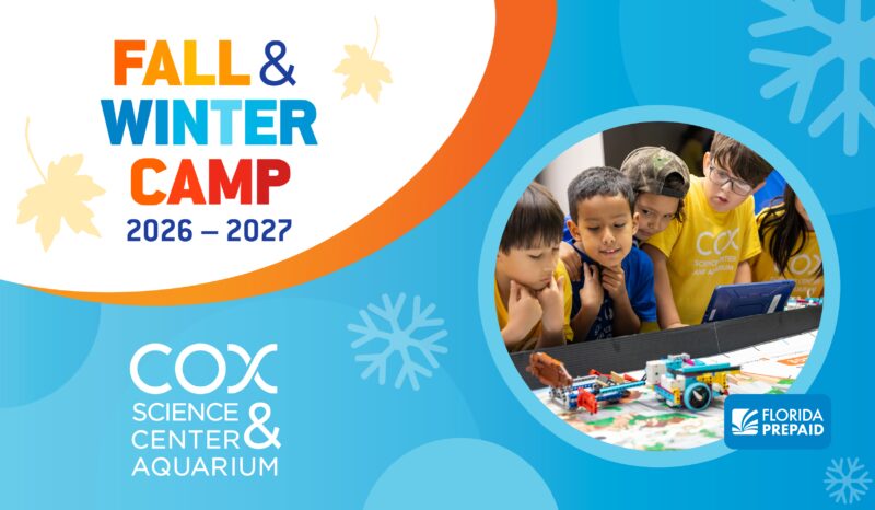 2026 South Florida Winter Break Camps & Thanksgiving Break Camps Cox Science Center