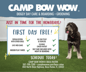 Camp Bow Wow Display Ad